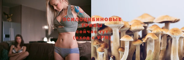 ALPHA PVP Богородицк
