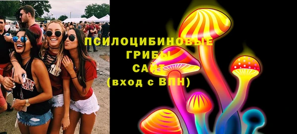 сатива Богородск