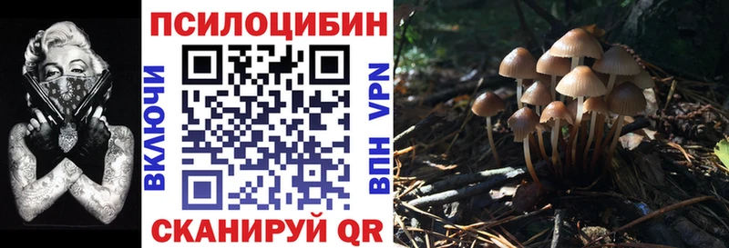 купить  цена  Минеральные Воды  Галлюциногенные грибы Magic Shrooms 